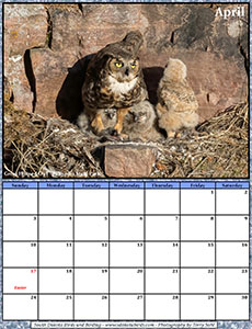 Free April 2022 Calendar - Great Horned Owl