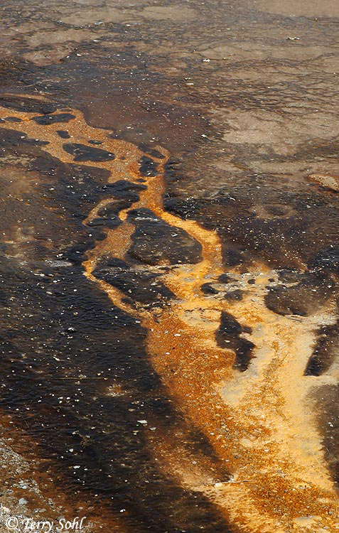 Biscuit Basin Runoff - Yellowstone 