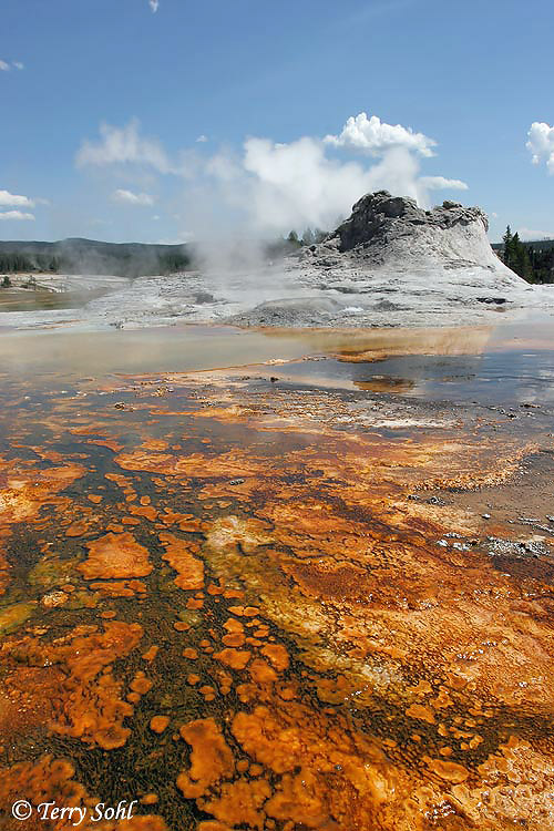 Castle Geyser - Yellowstone