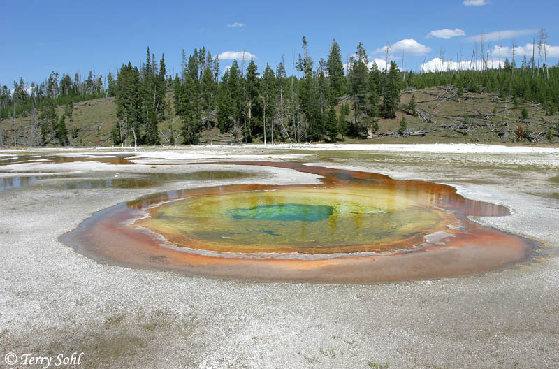 Chromatic Pool - Yellowstone