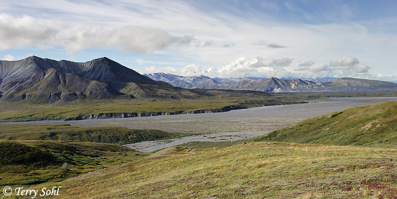 Denali - (Mt. McKinley)