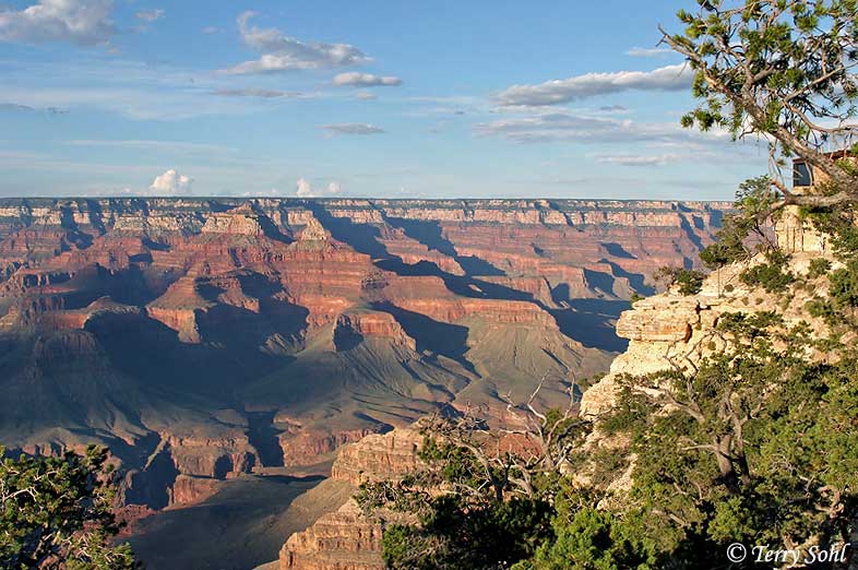 Grand Canyon Landscape #1