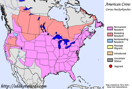 American Crow - Range Map