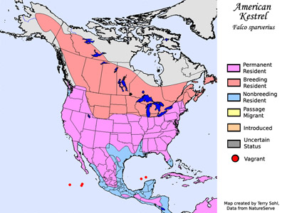 American Kestrel - Range Map