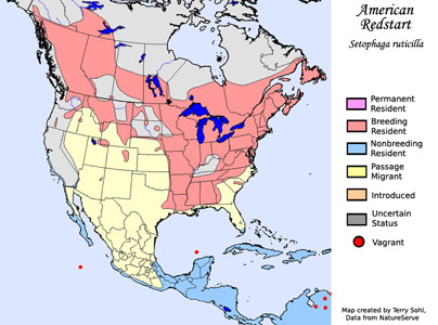 American Redstart - Range Map