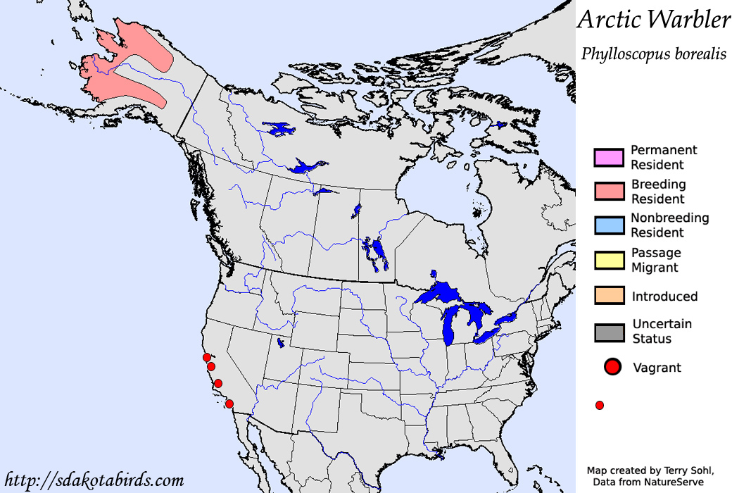 Arctic Warbler - North American Range Map
