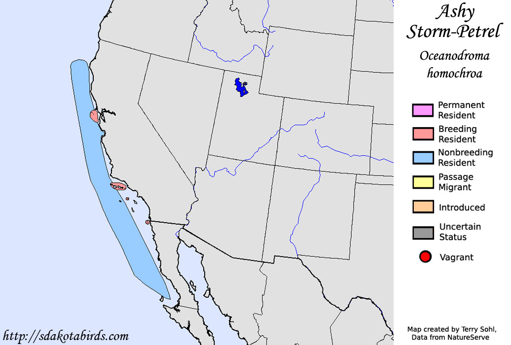 Ashy Storm-Petrel - North American Range Map