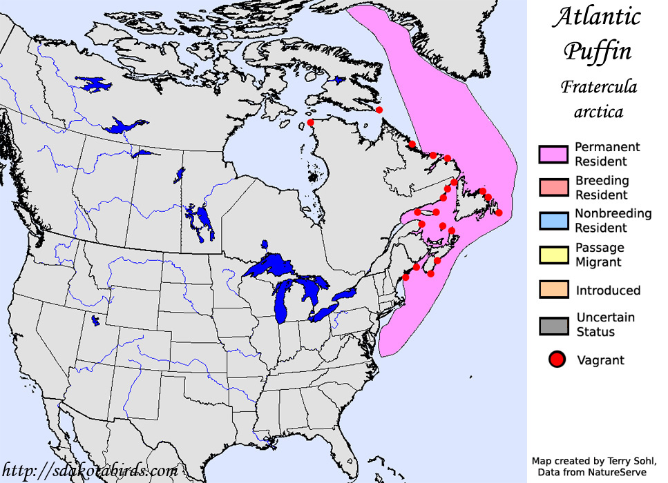 Atlantic Puffin - North American Range Map