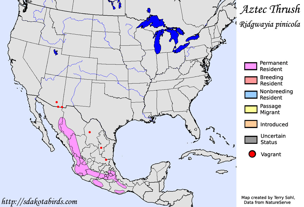 Aztec Thrush - North American Range Map