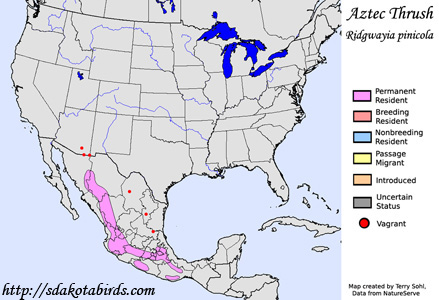 Aztec Thrush - Range Map