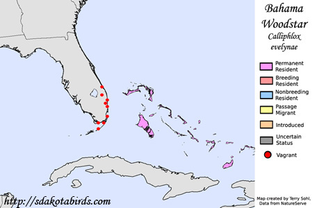Bahama Woodstar - Range Map
