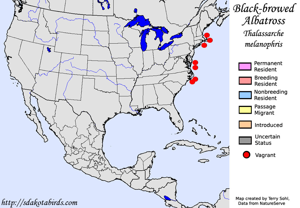 Black-browed Albatross - North American Range Map