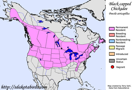 Range Map - Black-capped Chickadee