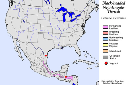 Black-headed Nightingale-Thrush - Range Map