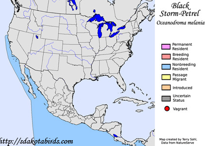 Black Storm-Petrel - Range Map