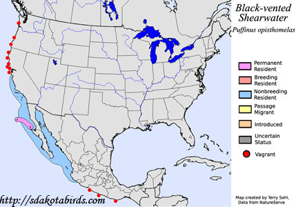 Black-vented Shearwater - North American Range Map