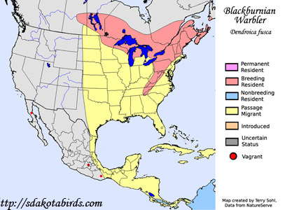 Blackburnian Warbler - Range Map