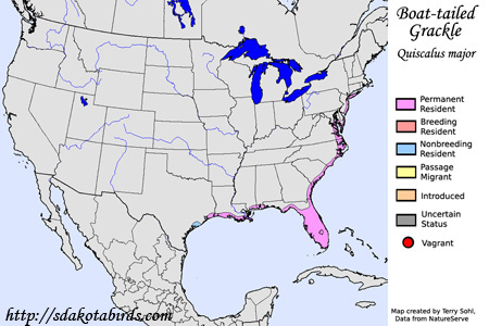 Boat-tailed Grackle - Range Map