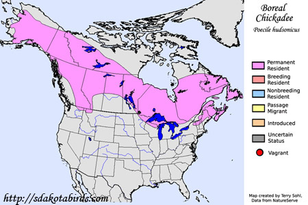 Boreal Chickadee - Range Map