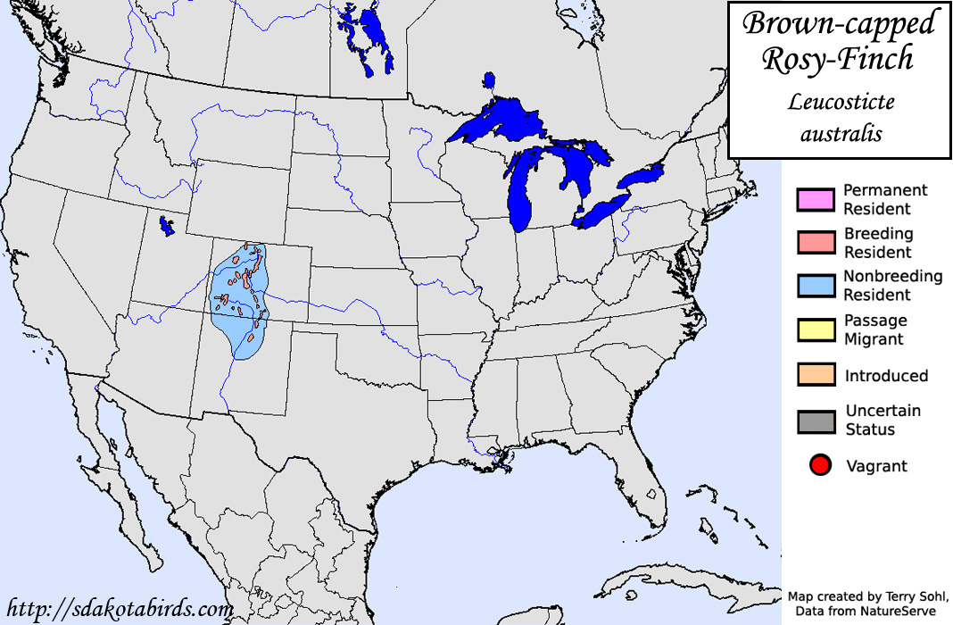 Brown-capped Rosy-Finch - North American Range Map
