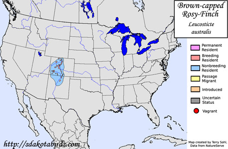 Brown-capped Rosy-Finch - Range Map