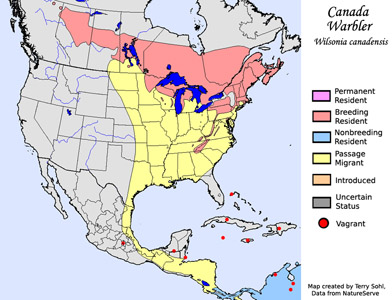 Canada Warbler - Range Map