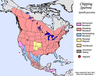 Chipping Sparrow - Spizella passerina - Range Map