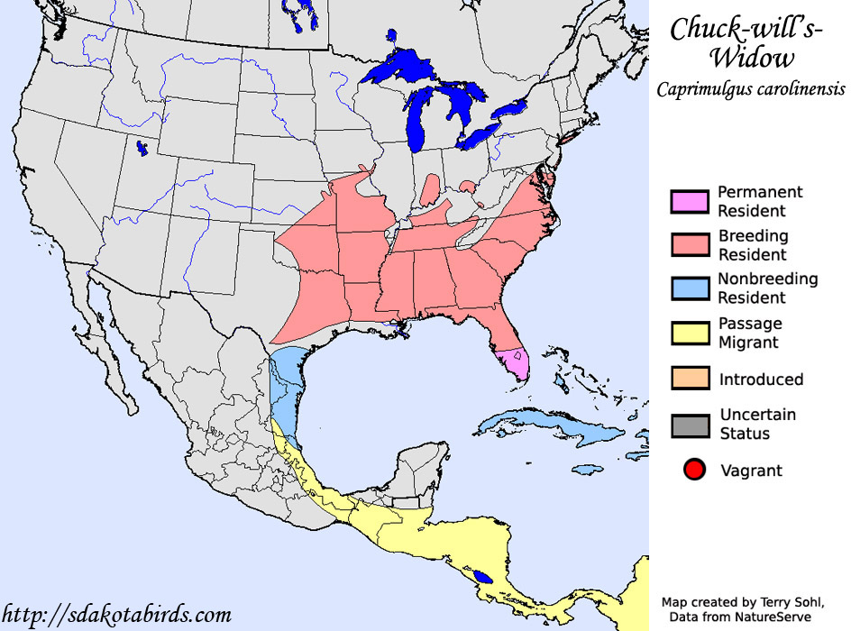 Chuck-will's-Widow - Range Map