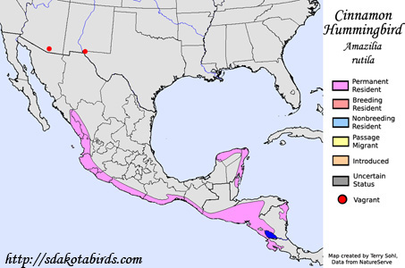 Cinnamon Hummingbird - Range Map