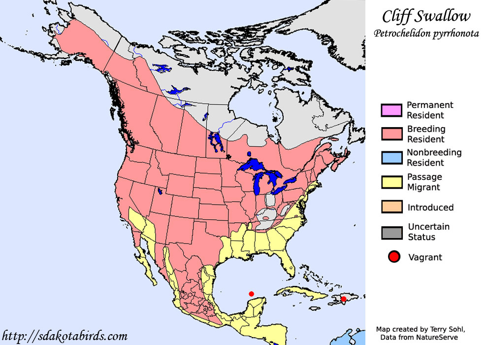 Cliff Swallow - Range Map