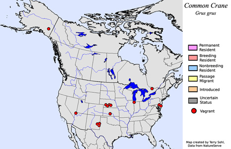 Common Crane - Range Map