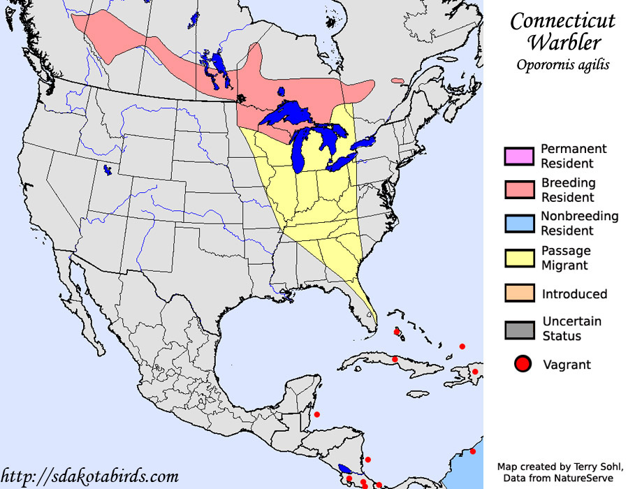 Connecticut Warbler - Range Map