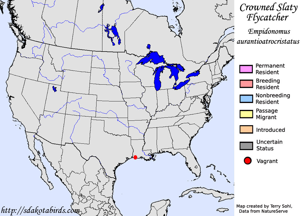 Crowned Slaty Flycatcher - North American Range Map