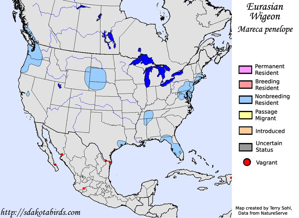 Range Map - Eurasian Wigeon