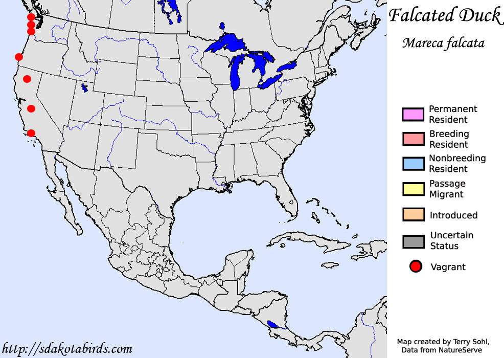 Falcated Duck - North American Range Map
