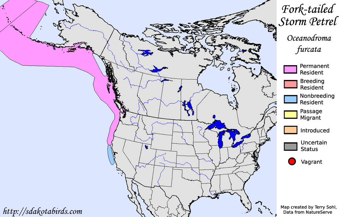 Fork-tailed Storm-Petrel - North American Range Map