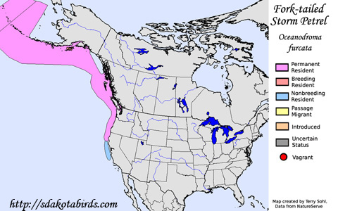 Fork-tailed Storm-Petrel - Range Map