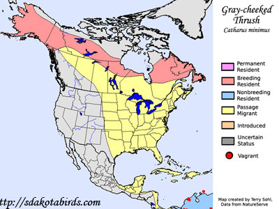 Gray-cheeked Thrush - Range Map