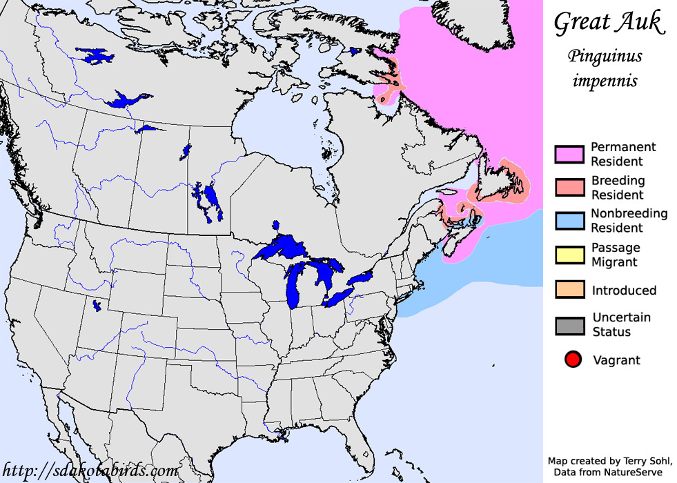 Great Auk - North American Range Map