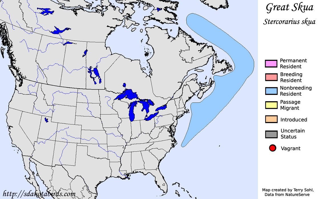 Great Skua - North American Range Map