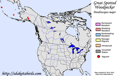 Great Spotted Woodpecker - Range Map
