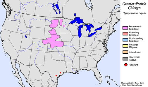 Greater Prairie Chicken - Range map