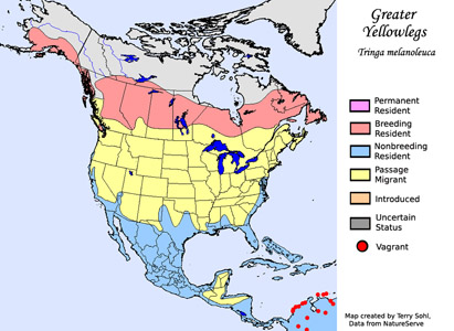 Greater Yellowlegs - Range Map