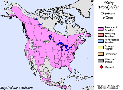 Hairy Woodpecker - Range Map