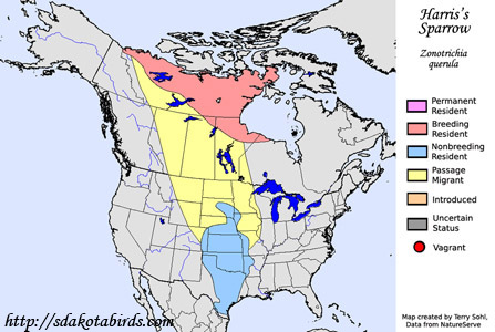 Harris's Sparrow - North American Range Map