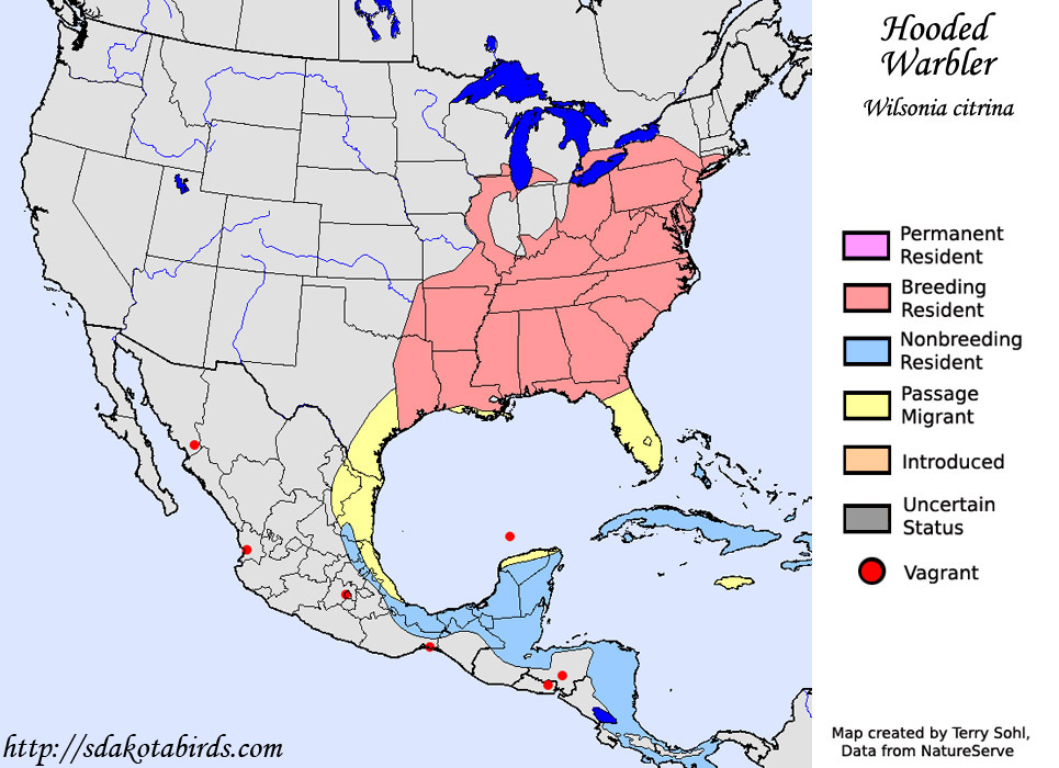 Hooded Warbler - Range Map