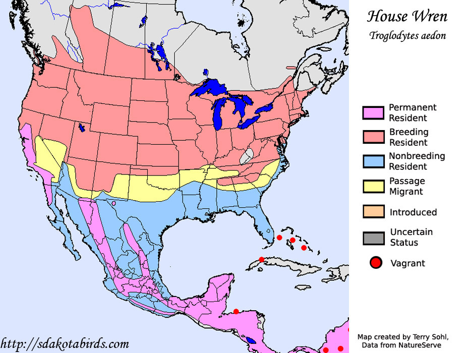 House Wren Species Range Map