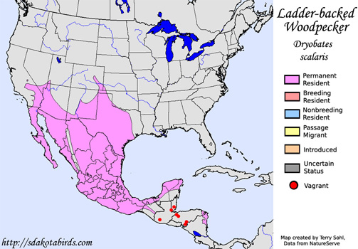 Ladder-backed Woodpecker - Range Map