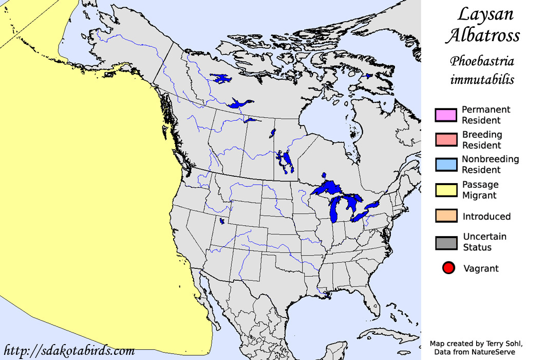 Laysan Albatross - North American Range Map