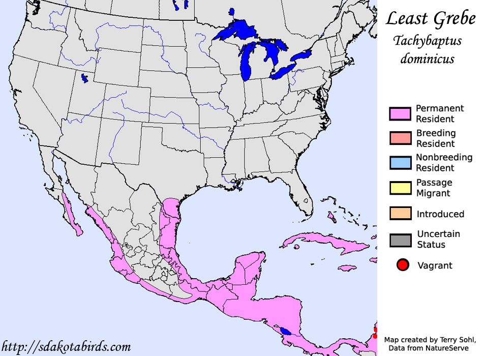Least Grebe - North American Range Map